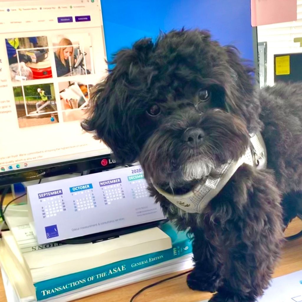 Odour detection super pup, Paddy, likes to help out at Silsoe Odours