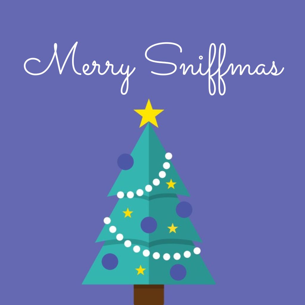 Merry Sniffmas! With best wishes from all of us here at the Silsoe Odours odour consultancy.